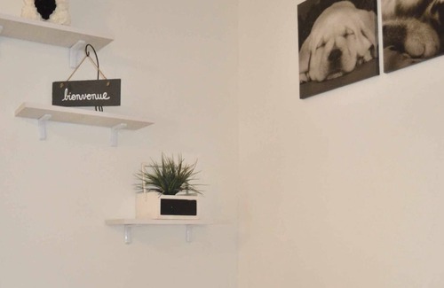 Noale Apartment | Vrbo Property