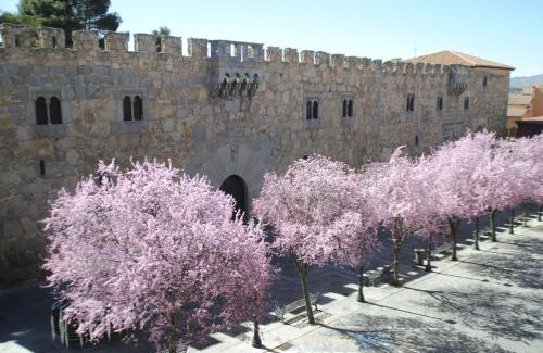 Old Town of Avila Apartment | VUT Plaza de la Fruta