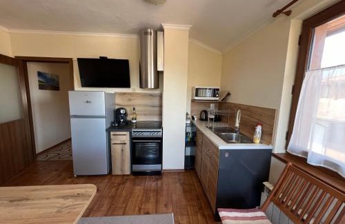 Shiligarnika Apartment | VV Apartment Bansko