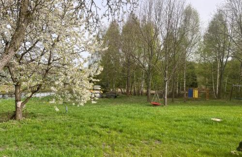 Chodecz Cabin | w Niesiołowie