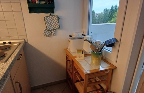 Altenau Apartment | "Waldgeflüster" apartment with Harz romance.