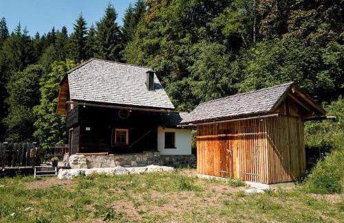 Praebichl Apartment | Waldhütte Stifthube