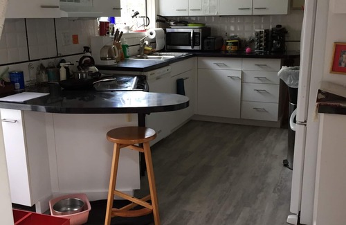 Falmouth Heights House | Walk to Beach - Waterfront 3 BR Cape - Pet friendly - Falmouth Heights, MA