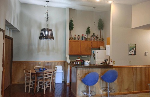 Northface Condo | Walk to Dolly Sods, Enjoy Mountain Views + Gas Fireplace & Jacuzzi Tub! 3rd Fl.