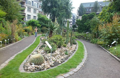 Jewish Quarter Apartment | Walking Distance to Grote Markt! Family-friendly Property, City Views & Kitchen!