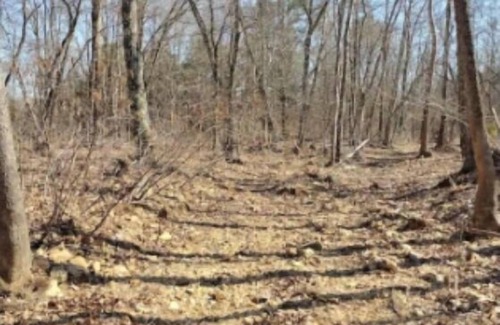 Clubb RV Rental | Wanderers End Sanctuary Forest Farm & Village Co-op