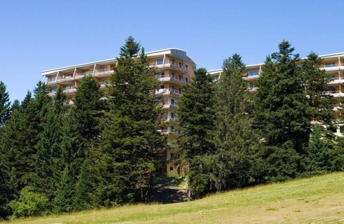 Chamrousse Condo | Warm and Inviting 1 Bedroom Alcove Apartment