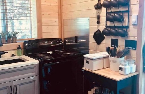 Ashton Cabin | Warm River Goose Roost Cabin in private gated community
