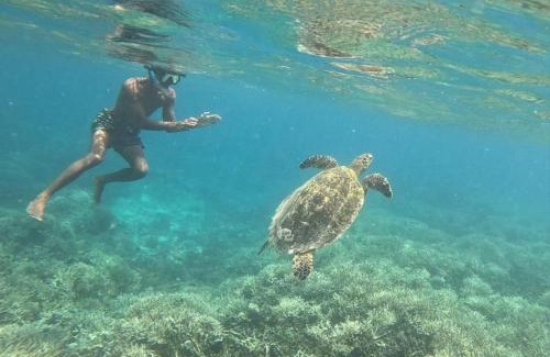 Gili Gede House | Waru Homestay Gili Gede