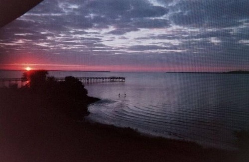 Port Charlotte Condo | Waterfront condos with stunning views