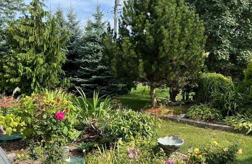 Ashfield-Colborne-Wawanosh Cottage | Waterfront Cottage/Hotub/Outdoor Shower/private sand beach/2pet/2-14+guests