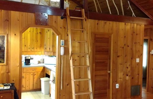 Port Republic House | Waterfront Log Cabin with Million Dollar View & Luxury Bath! Shark's Teeth!
