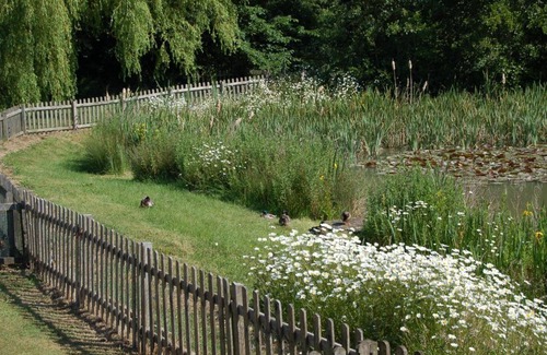North Perrott Cabin | Watermeadow Lakes & Lodges