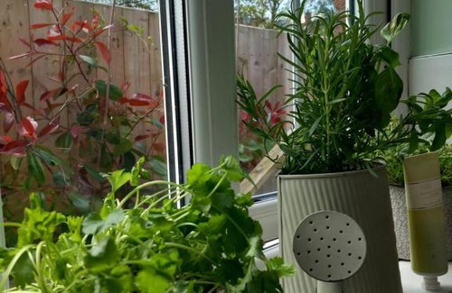 Belfast House | WAVENEY