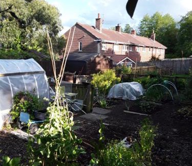 Belfast House | WAVENEY