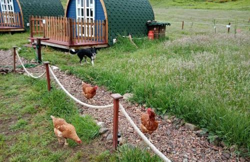 Skail Other | Wee Hoose Glaping Pod 2