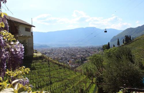 Centro - Piani - Rencio Apartment | Weingut Eberlehof