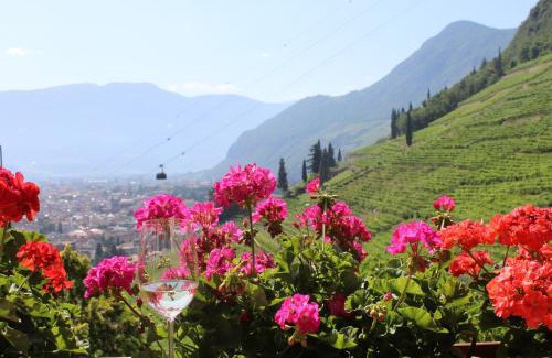 Centro - Piani - Rencio Apartment | Weingut Eberlehof