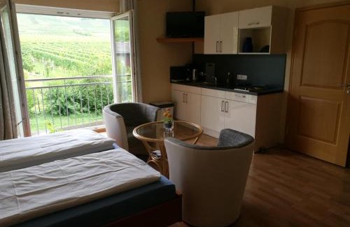 Brauneberg Apartment | Weingut & Gästehaus Andreas Erz