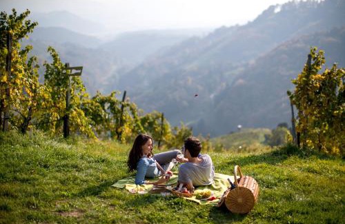 Kitzeck im Sausal House | Weingut Schauer