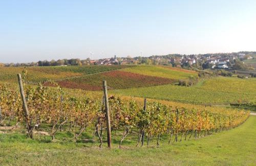Mainz-Bingen House | Weingut Seck