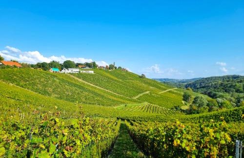 Spiefeld Apartment | Weinlandzauber An der Lage