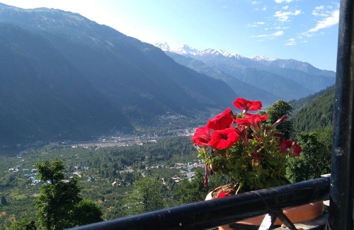Burwa House | Welcome Homestay a budget stay in Manali, Himachal Pradesh,India