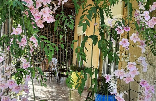 Sidi Bibi Apartment | Welcome to our guest house located 20 minutes from Agadir airport.