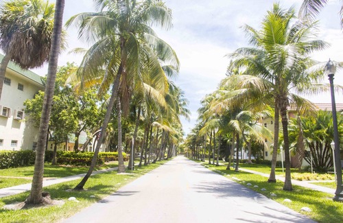 Key Biscayne Apartment | Welcome to Paradise Island and sandy beach