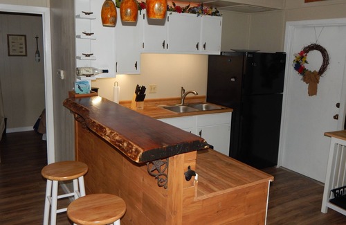 McQueeney House | Welcome to Ski D's! A charming cabin in a Lake side community.