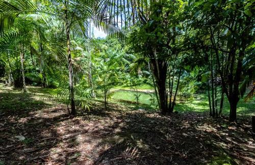 Curucamba House | Welcome to the Amazon