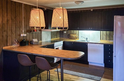Vinje Apartment | Welcome to the mountains and this large apartment at Haukelifjell.