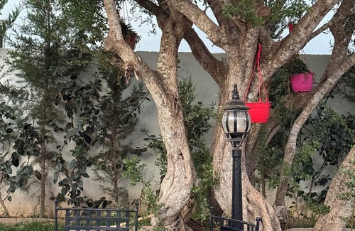 Ghazoua Villa | Welcome to Villa Fatima - Your haven of tranquility