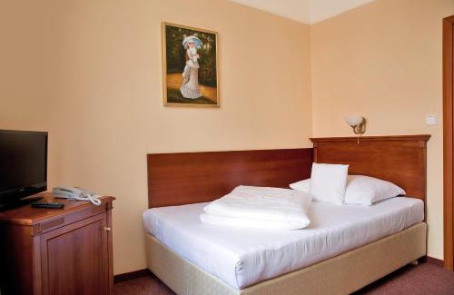Frantiskovy Lazne Hotel | Wellness Hotel Ida