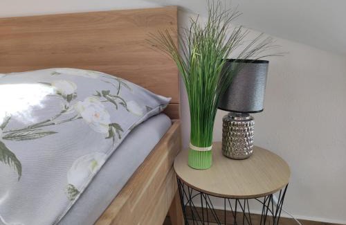 Plzen Apartment | Wellness luxury apartments
