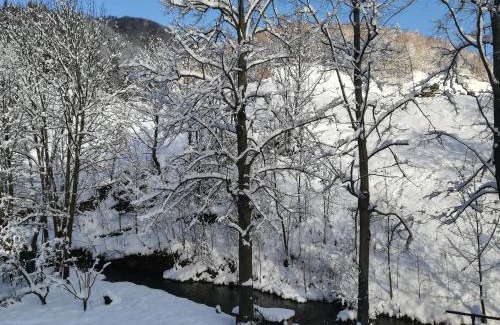 Liptovske Revuce Cabin | Wellness privát Štyri Lipy