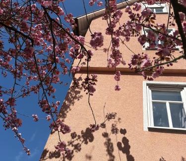 Wertheim Hotel | Wertheimer Gasthaus Hotel & Restaurant