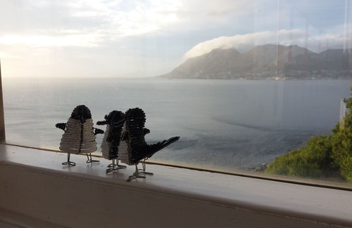 Fish Hoek Cottage | Whale Cove Cottage - Watch the ocean from your bed