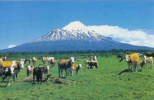 Ohangai House | Wheatly Downs Farmstay and Backpackers