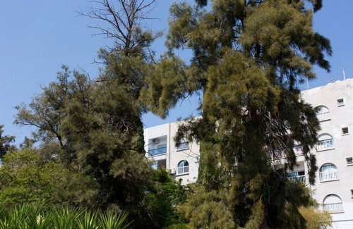 Agios Tychon Apartment | White Arches Sea View Apt No.1