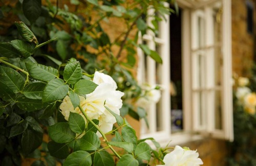 Stoke Albany Hotel | White Horse Inn & Restaurant