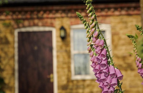 Stoke Albany Hotel | White Horse Inn & Restaurant