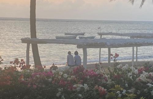 Malindi Marine National Park House | White Lion