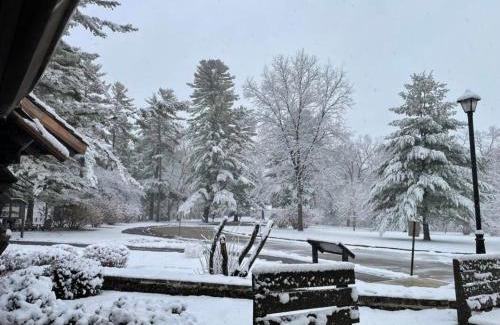 Mount Morris Hotel | White Pines Lodge