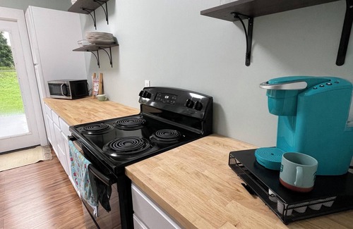 Spartanburg House | Whole House, sleeps 7, within walking distance to downtown Spartanburg!