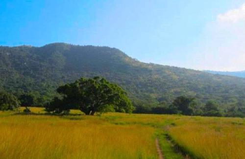 Malkerns House | Wide Horizons Mountain Retreat - Aloe Camp