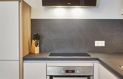 Saalbach-Hinterglemm Apartment | Wiesl Lodge Saalbach