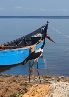 Buhaguzi Other | Wild Camping Lake Albert Shores