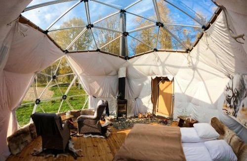 Porsanger Other | Wild Caribou Dome