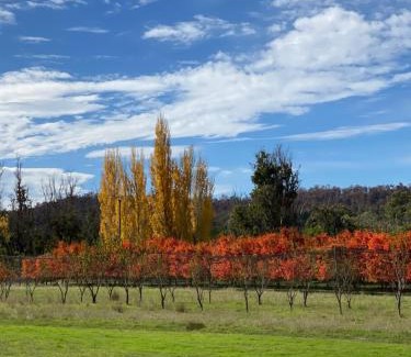 Brookhampton Other | Wild Fig Cosy Farmstay Cottage